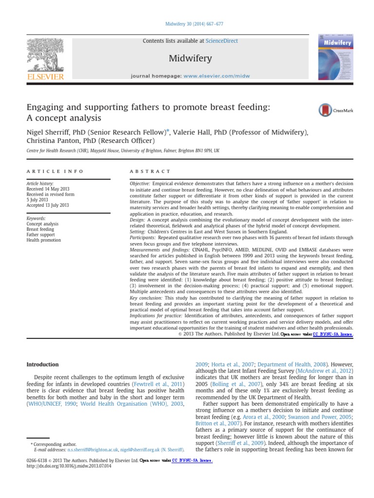 1 s2.0 S0266613813002192 Main PDF Breastfeeding Focus Group