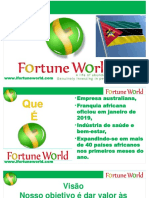 FW Mozambique presentation pdf