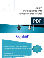 Audit PPI