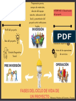 Organizador Ciclo de Vida