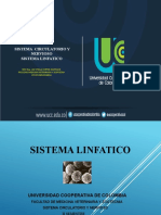 Sistema Linfatico