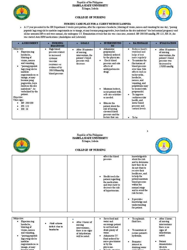 Preeclampsia Nursing Care Plan PDF Pain Dehydration