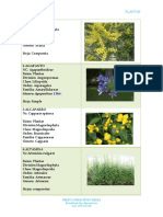 Taxonomía de 50 Plantas