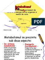 254003584-Metabolismul
