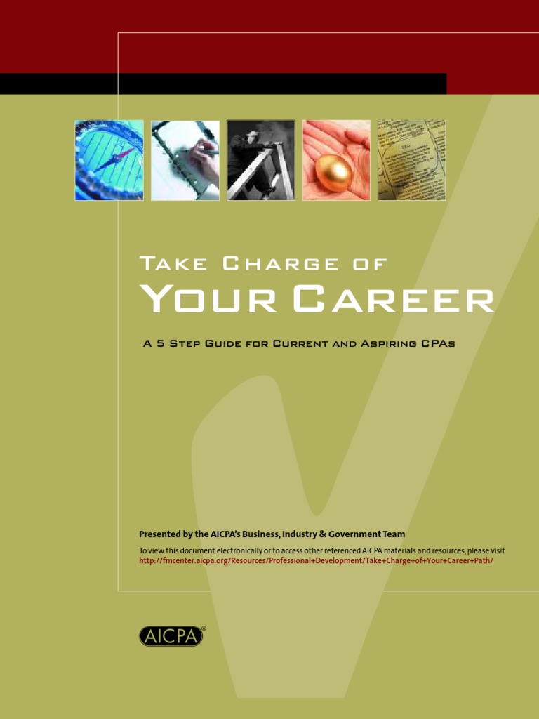 Accounting Career Guide PDF Certified Public Accountant Audit