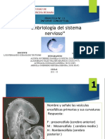 Info Embrio Pract 12
