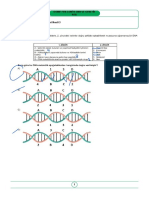 Dna Ve Genetik Kod Testi Yeni Nesil-3