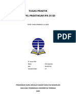 Lampiran Tugas Praktikum Seismonasti, Niktinasi, Geotropisme