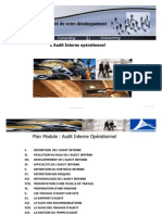 Audit Interne Operationnel PDF