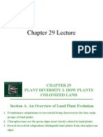 Chapter 29 Lecture