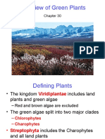 Overview of Green Plants