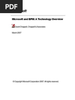 Whitepaper Microsoft and BPM Technical