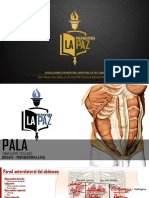 Preparatoria La Paz - Pared Anterolateral Del Abdomen