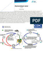 Parasito-Hymenolepis nana