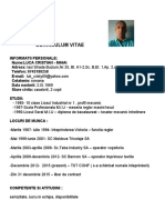 Curriculum Vitae Luca Cristian