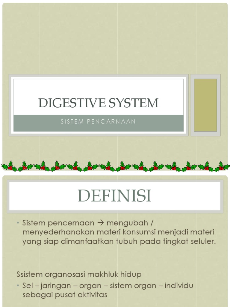 Digesti Sistem | PDF