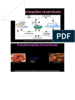 ciencias ireeversiveis e reversiveis