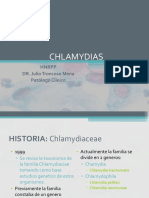 Clamidias Espiroquetas y Clostridium