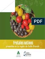 Libro Frutales Nativos