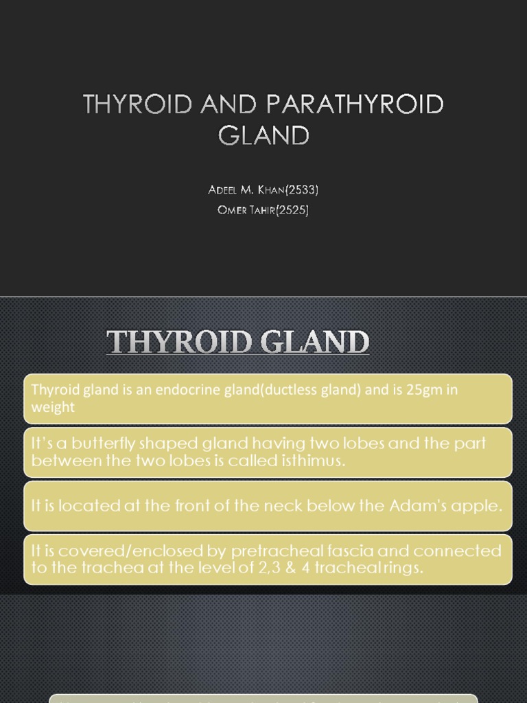 Thyroid and Parathyroid Gland | PDF