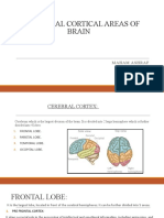 Functional Cortical Areas of Brain