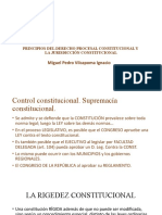 4 - IX B1 Principios de D Procesal Constitucional