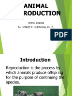 Animal ReproductionJFH - Class Presentation