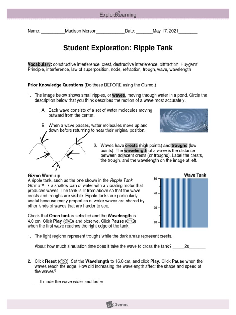 Student Exploration: Ripple Tank: Vocabulary: Constructive Interference ...