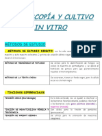 Microscopia y Cultivo in Vitro