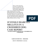 Juvenile Diabetes Mellitus in A Crossbred Dog. Case Report