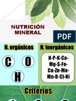 06.2 Nutrición Mineral