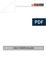 1200.C PUENTE SALADO_N RV-08