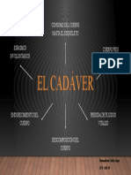 EL CADAVER Mentefacto Gladys Segura UNERG