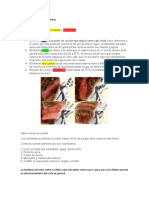 Términos de Cocción de La Carne