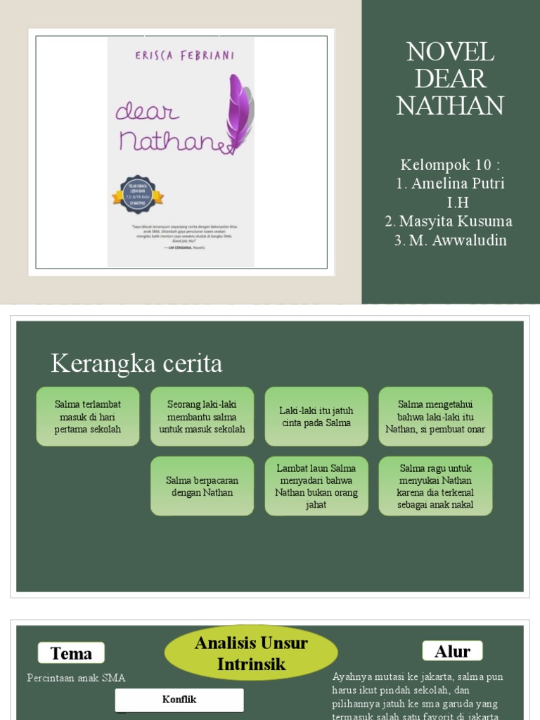 Novel Dear Nathan PDF