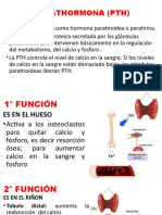 Parathormona (PTH)