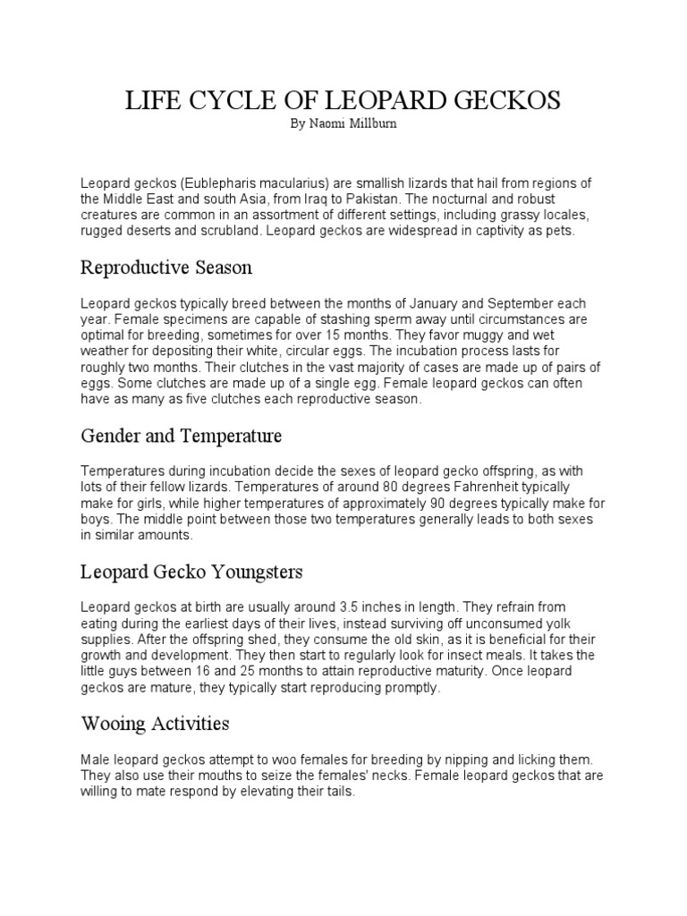 Life Cycle of Leopard Geckos | PDF | Zoology
