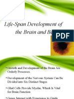 06 Life-Span Development of The Brain and Behavior