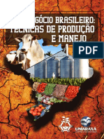 Agronegócio Brasileiro: técnicas de produção