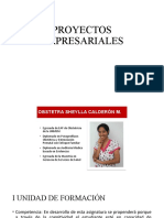 Proyectos Empresariales 1