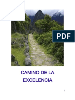 1 Camino de La Excelencia