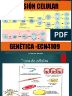 Division Celular Orlin Ortiz Definitivo