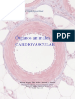 MATERIAL Cardiovascular