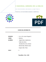 Universidad Nacional Agraria de La Selva: Avance Del Informe N°05