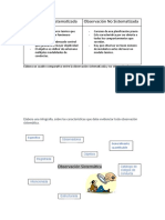 Observación Sistematizada