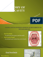 Anatomy of Oral Cavity