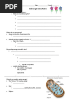 Sexul Tantric En, Carte | PDF | Neotantra | Sexual Intercourse