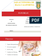 Patopancreas 140326122139 Phpapp02