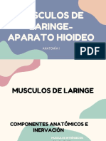 Musculos de Laringe-Aparato Hioideo