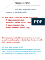 Notes For 21 - RESPIRATORY SYSTEM